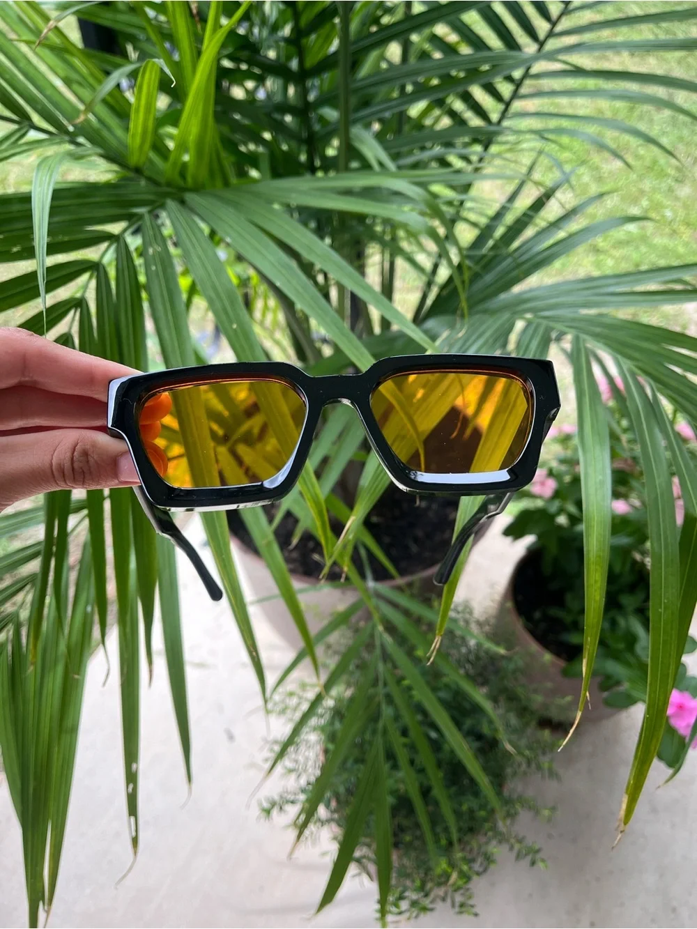 Sunglasses / Gafas
